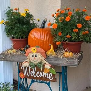 Meet your Posher, Jodei